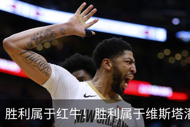 胜利属于红牛！胜利属于维斯塔潘！