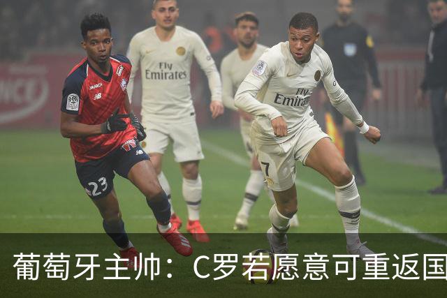 葡萄牙主帅：C罗若愿意可重返国家队